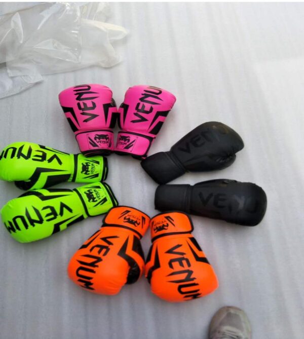 Vibrant VENUM Boxing Gloves Set